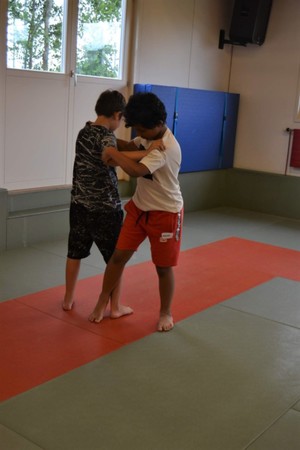 6SF Judo 15.7 (13)5.jpg